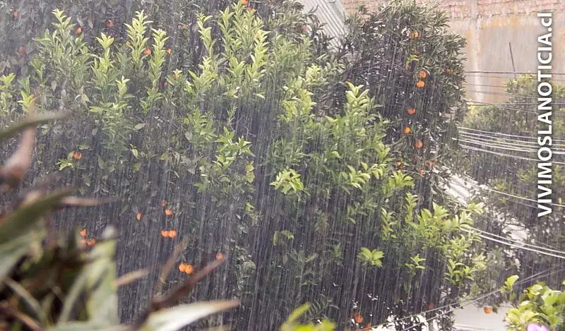 Declaran alerta temprana regional por evento meteorológico