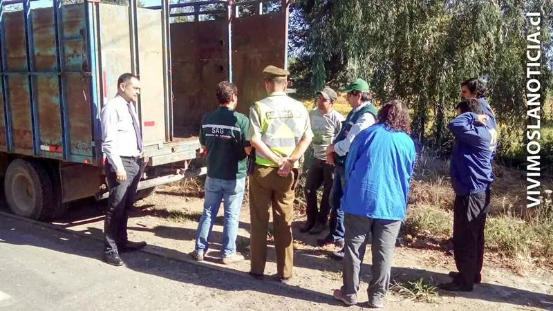 Detenidos y multas en fiscalización antiabigeato
