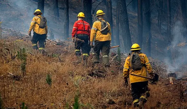 Brigadistas forestales son detenidos como presuntos autores de los incendios que afectaron a Molina en 2020