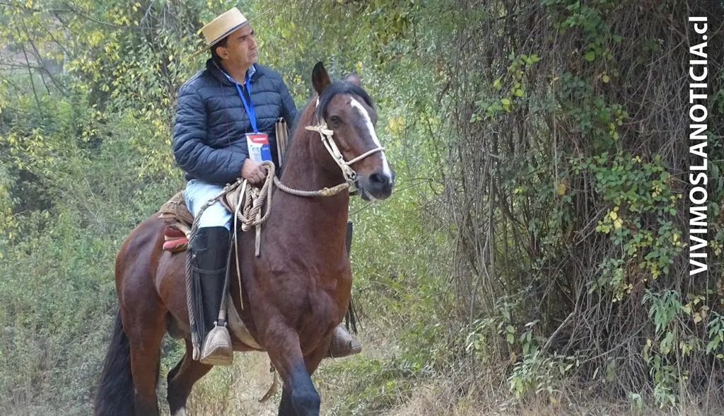 Censista recorrió a caballo la comuna de Vichuquén