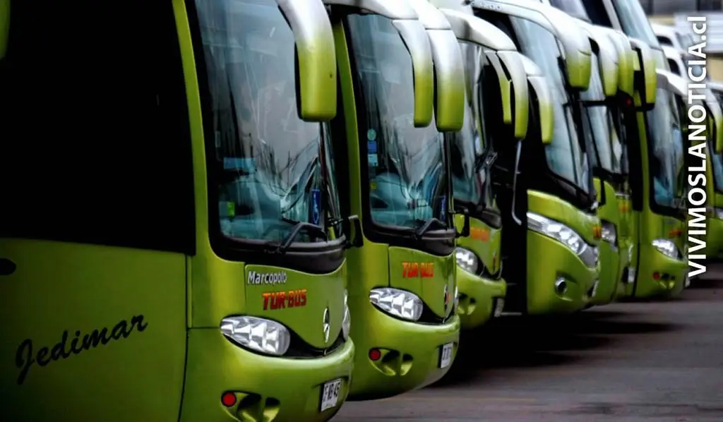 Viajes en bus: Más de 8 mil reclamos en 2024 y el principal problema es la puntualidad y cancelaciones del viaje