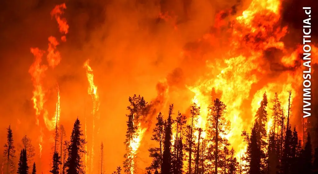 Senapred decretó alerta amarilla por incendios forestales en el Maule