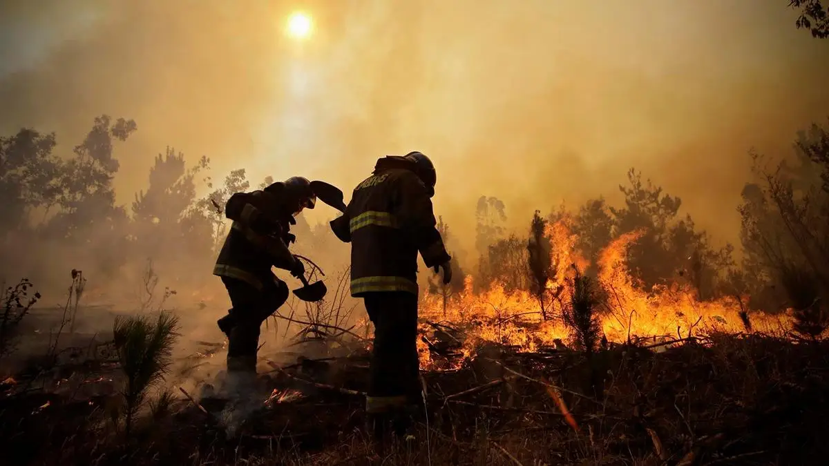 Prisión preventiva para hombre acusado de iniciar incendio forestal en precordillera de Linares