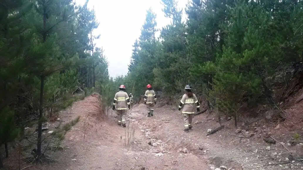 Carabineros ubica a siete personas con encargo por presunta desgracia en la región de O'Higgins