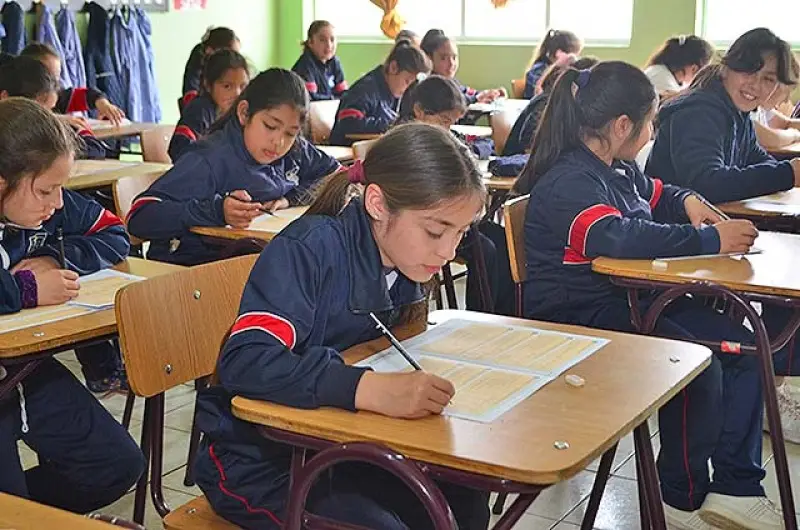 Investigación descartó diferencias de género en habilidades sobre matemática, ciencia y tecnología