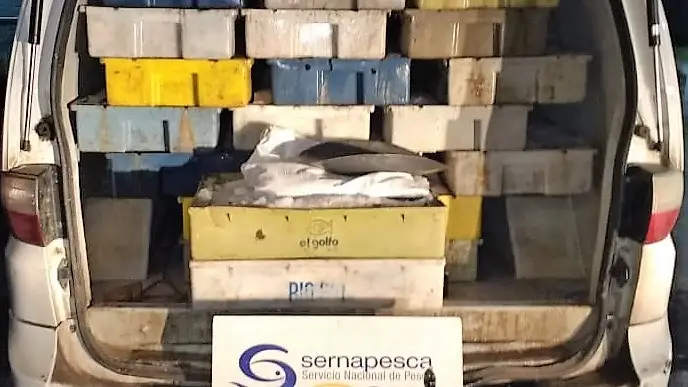 Teno: Interceptan toneladas de pesca ilegal que pretendía venderse en Santiago y Valparaíso