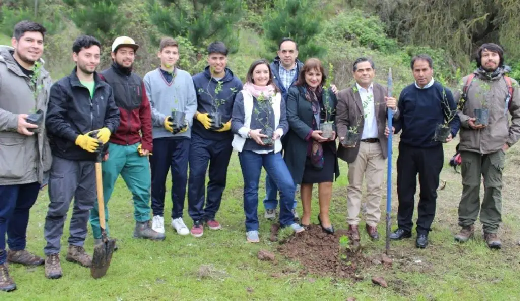Jóvenes reforestaron faldeo oriente del Cerro Condell