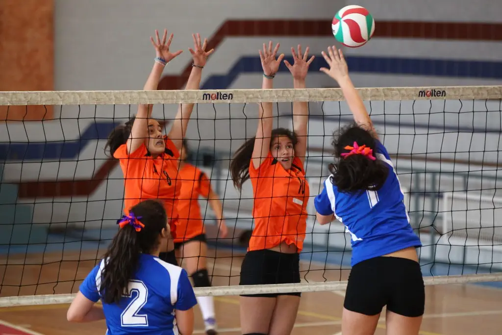 La provincia se hace presente en los Juegos Binacionales en la Región de O´Higgins