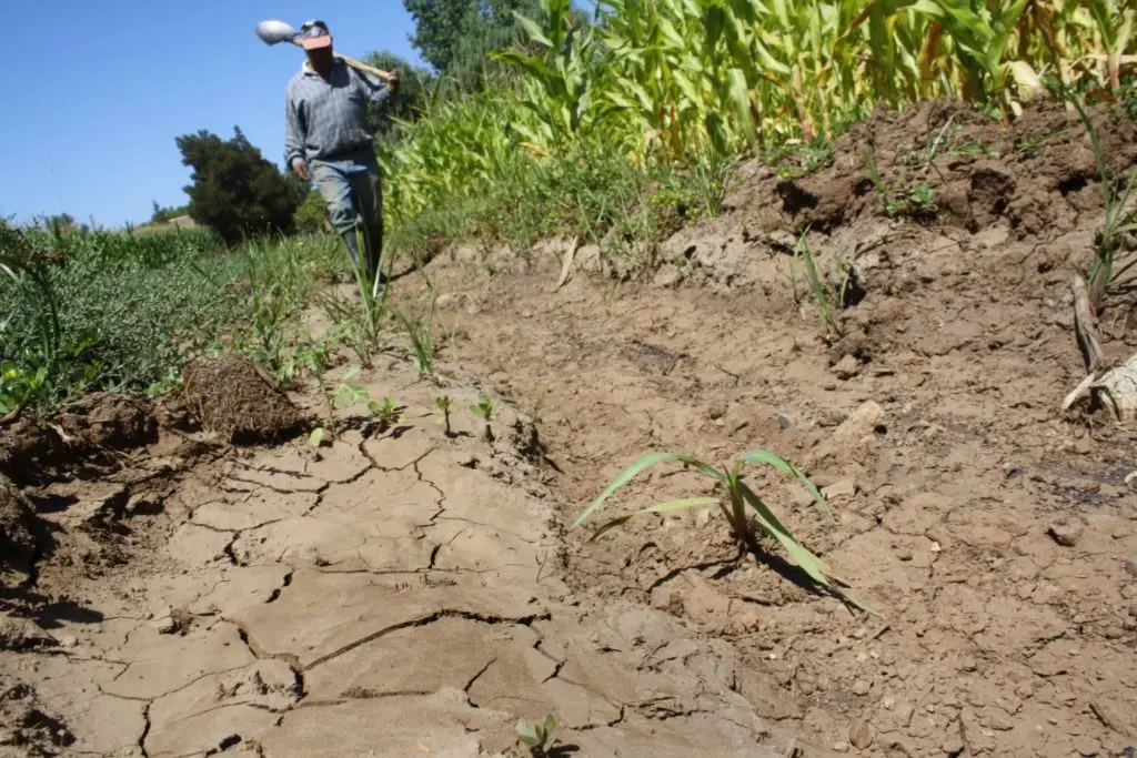 UTalca: Para superar mega sequía se requieren tres años consecutivos de superávit de lluvias mayor al 70%