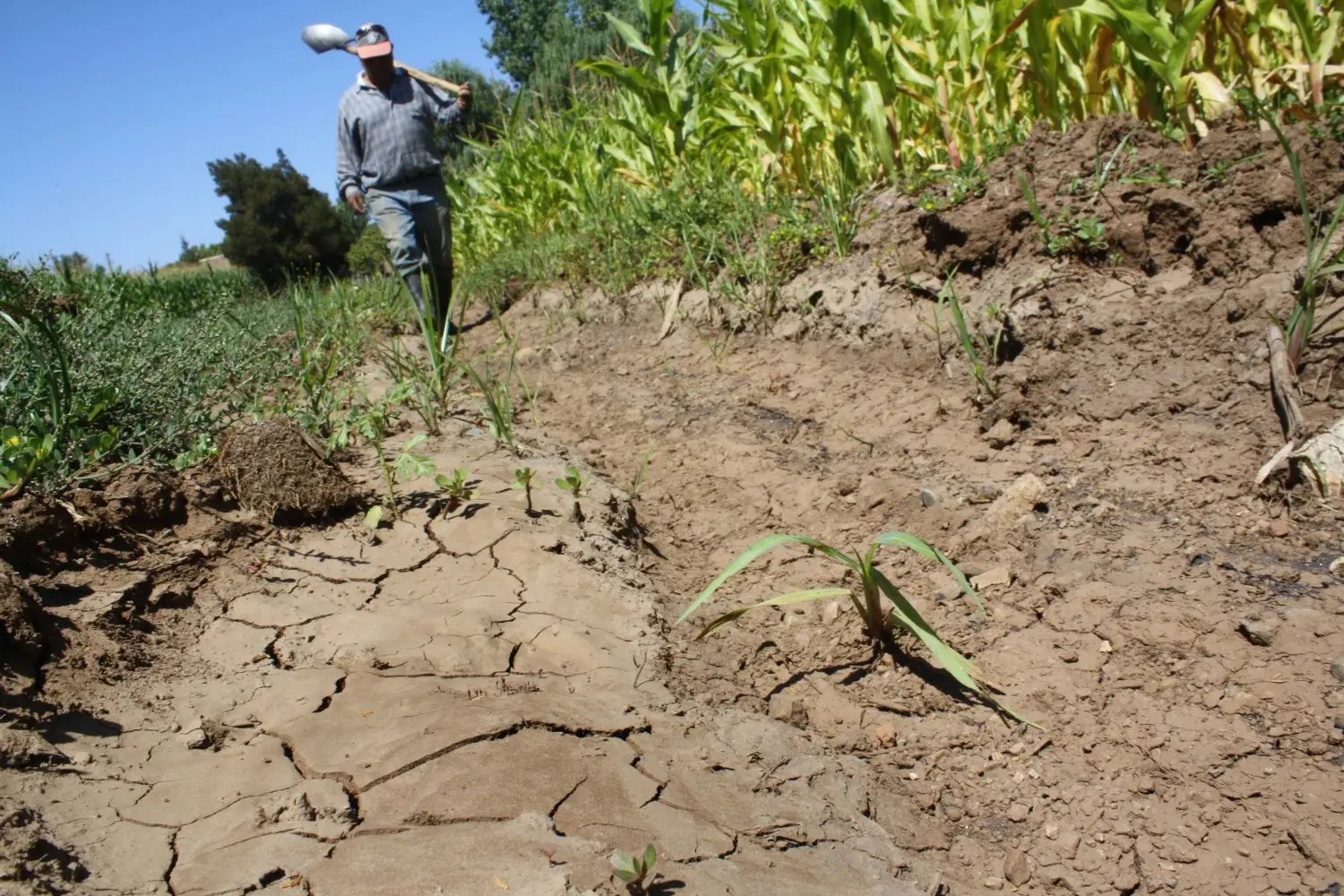 UTalca: Para superar mega sequía se requieren tres años consecutivos de superávit de lluvias mayor al 70%