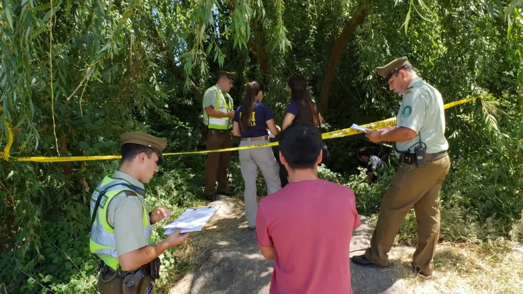 Encuentran dos cuerpos sin vida a un costado de la ruta 5 en Curicó y Molina