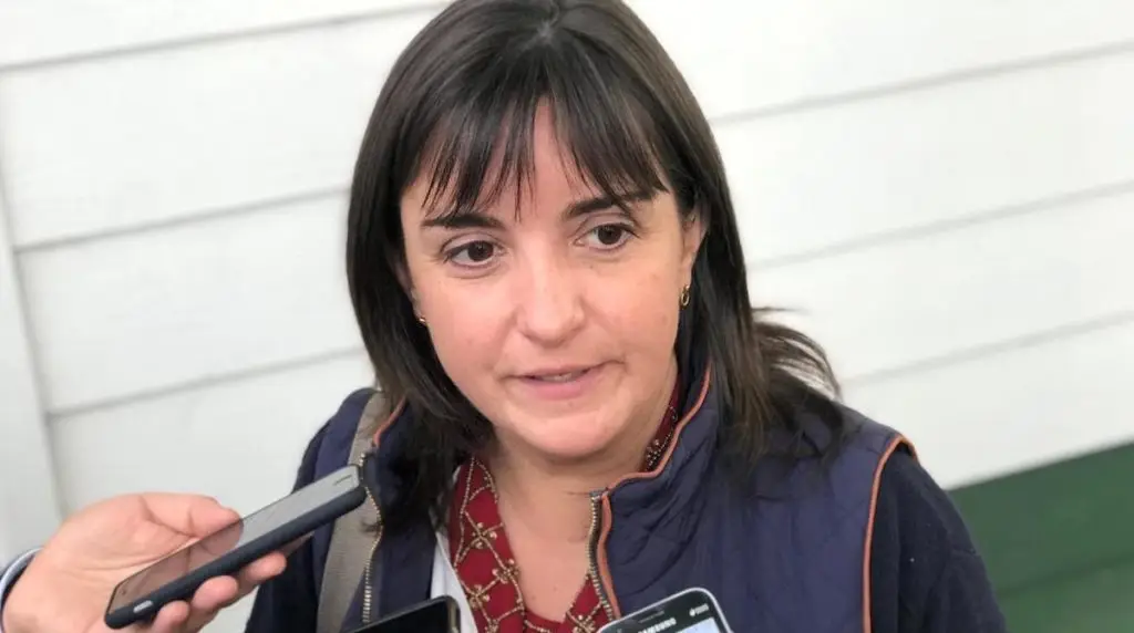 Gobierno pidió la renuncia de la Gobernadora Provincial de Curicó