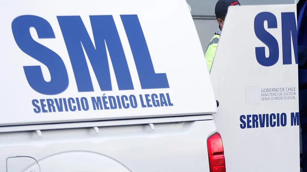 Agricultor muere aplastado por árbol en predio de Longaví 