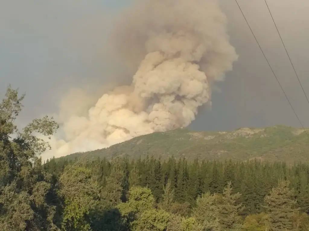 Onemi: Incendio forestal en Molina ha consumido más de 3.000 hectáreas