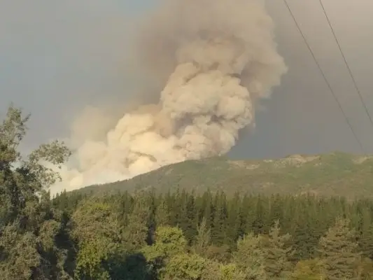 Onemi: Incendio forestal en Molina ha consumido más de 3.000 hectáreas