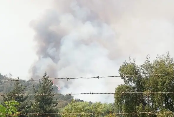 Onemi entrega catastro del incendio forestal activo en Huemul