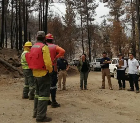 Fiscalía de Molina y peritos de la PDI realizan diligencias para investigar incendio forestal