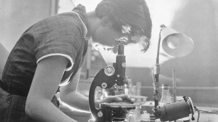 8 de marzo: Ciencias en femenino plural