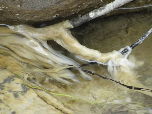 Sernapesca declaró emergencia por plaga de microalga en Río Claro de Molina