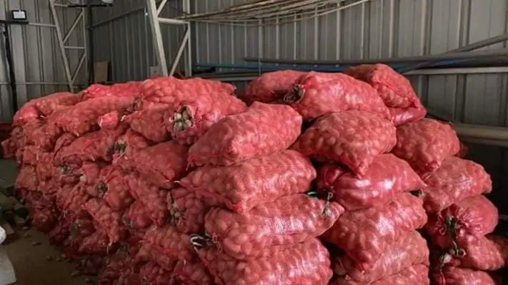 Curicano donó 30 toneladas de papas a familias vulnerables de Futrono