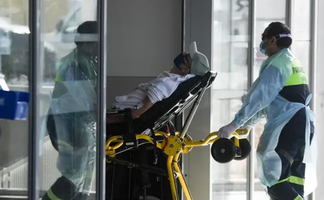 Mongolia: dos personas habrían muerto por peste negra tras consumir carne de roedor