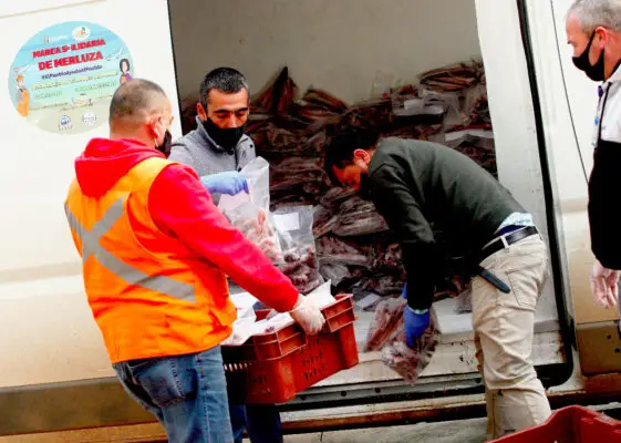 Marea Solidaria trajo cientos de merluzas para cocinas solidarias de Curicó