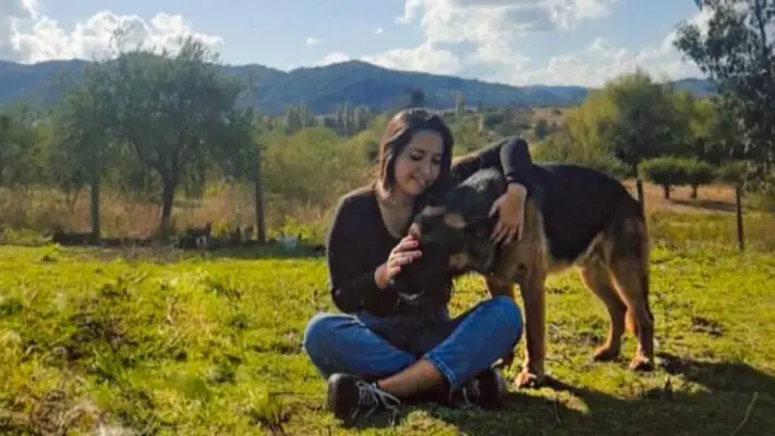 Acusan a exconcejal de San Rafael de haber asesinado a un perro con cuatro impactos de bala