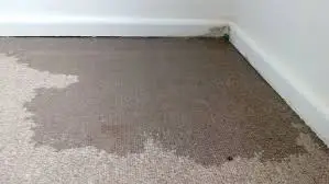 Siguen las inundaciones en departamentos de Villa Futuro 1