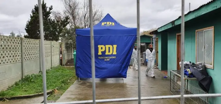 Confirman formalización a dos funcionarios municipales por irregularidades en canil de Curicó