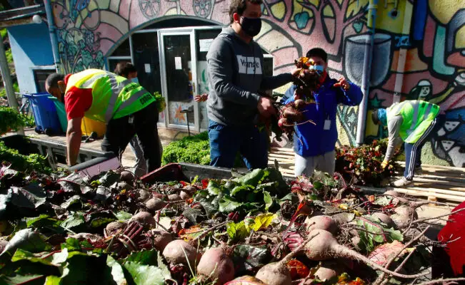 COPACHS realizó donación de frutas y verduras a "cocinas solidarias" de Curicó