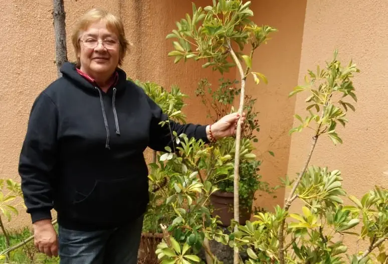 Asistente social quiere ser candidata a concejala por Curicó