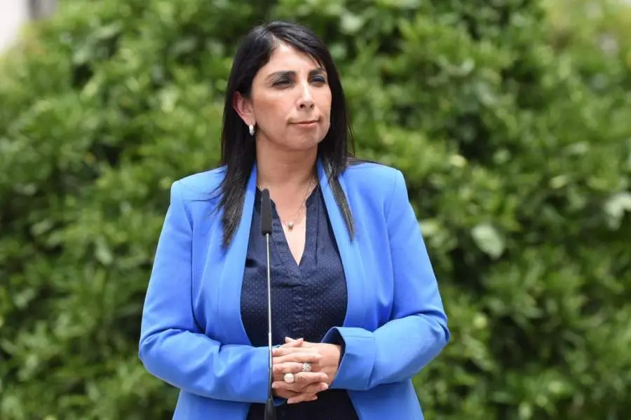 Ministra Rubilar indicó que analizan "crear nueva herramienta" para quienes no califican a bono clase media