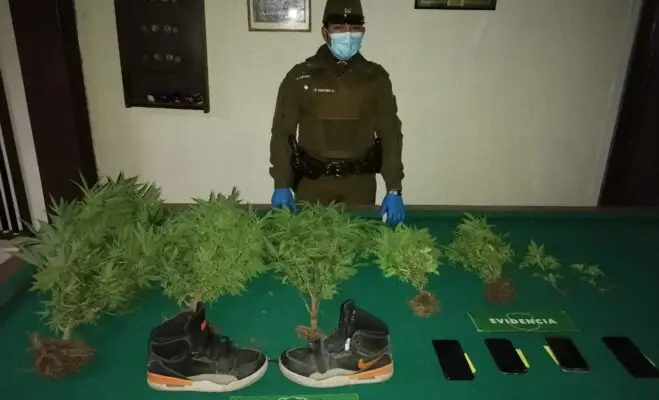 Carabineros detuvo a banda de asaltantes en Santa Cruz