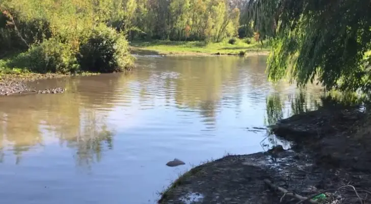 Menor de 12 años falleció ahogado en la Laguna Querquel de Maule