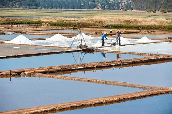 Salineros de Boyecura perdieron sus cosechas por precipitaciones del fin de semana