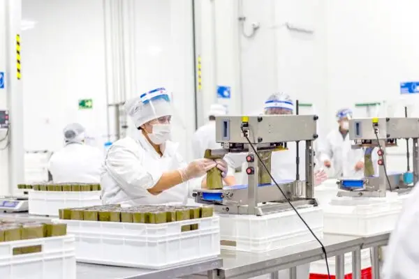 Alumnos reciben alimentos para sus hogares por nuevas exigencias de la Junaeb