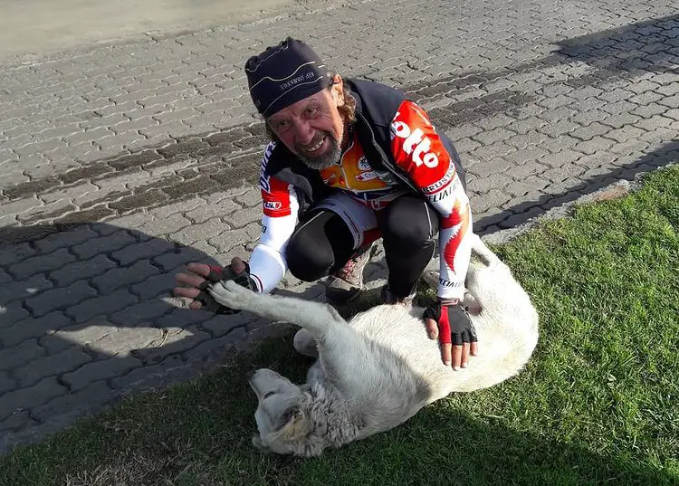 De paso por Curicó: veterinario recorre el mundo por causas animalistas
