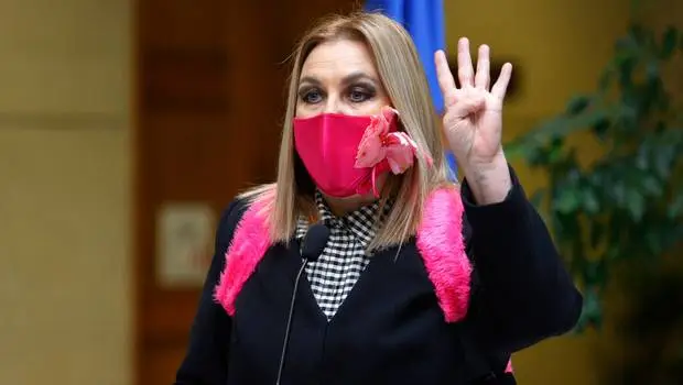 Diputada Pamela Jiles presentó el cuarto proyecto de retiro de fondos previsionales