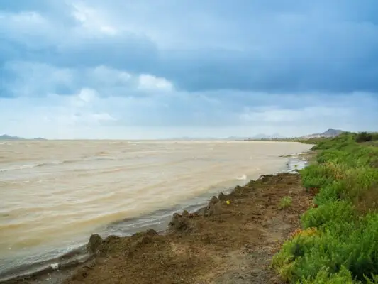 Mar Menor: historia de un colapso ambiental que pudo haberse evitado
