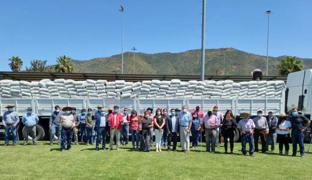 Ministerio de Agricultura entregó sacos de alfalfa a crianceros de Rauco