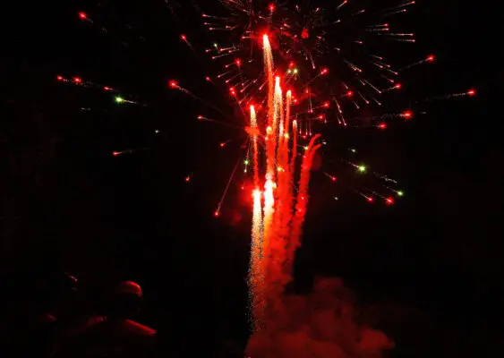Vecinos de sector Los Aromos de Curicó denuncian reiterados lanzamientos de fuegos artificiales