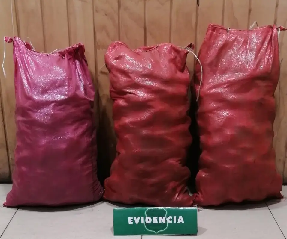 Carabineros de Curicó detuvo a sujetos que robaron sacos de papas desde una propiedad
