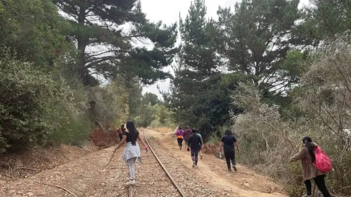 Intensa búsqueda de joven de 21 años desaparecido en Constitución