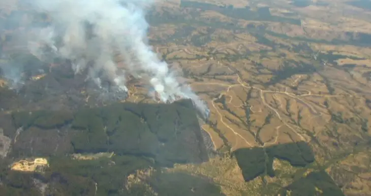 Incendios en Cauquenes han afectado más de mil hectáreas