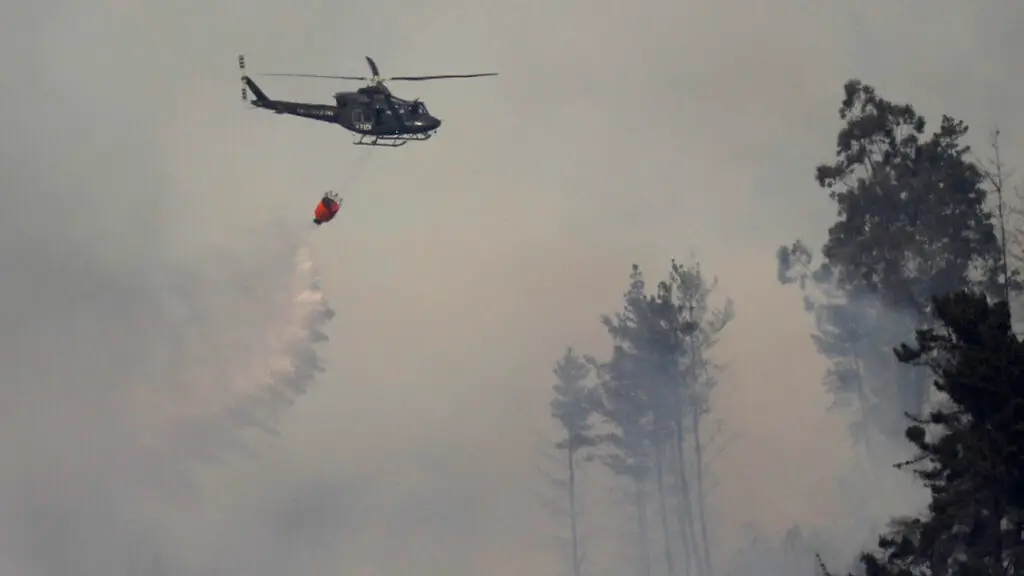 Incendio forestal en Vichuquén fue contenido tras declararse alerta roja
