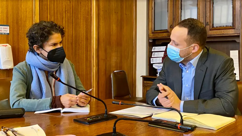 Ministra del Medio Ambiente revisará Plan de Descontaminación Atmosférica de Talca y Maule