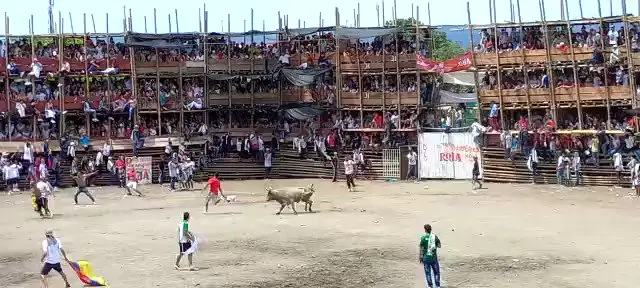 Al menos cuatro muertos deja derrumbe en corrida de toros en Colombia