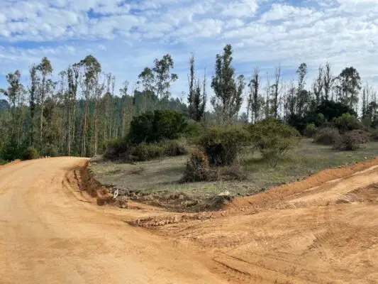Más de 600 millones de pesos serán destinados para pavimentar caminos en Vichuquén