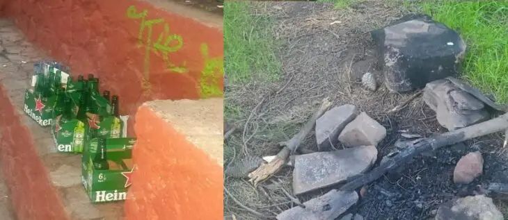 Sujetos encendieron fogatas y destruyeron infraestructura en el Parque Cerro Condell
