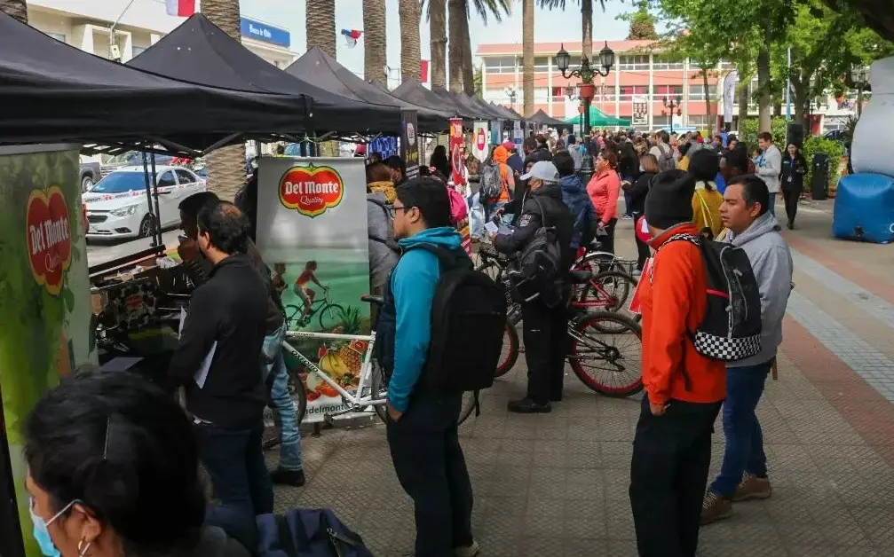 Feria Laboral OMIL 2022 de Curicó contó con masiva asistencia